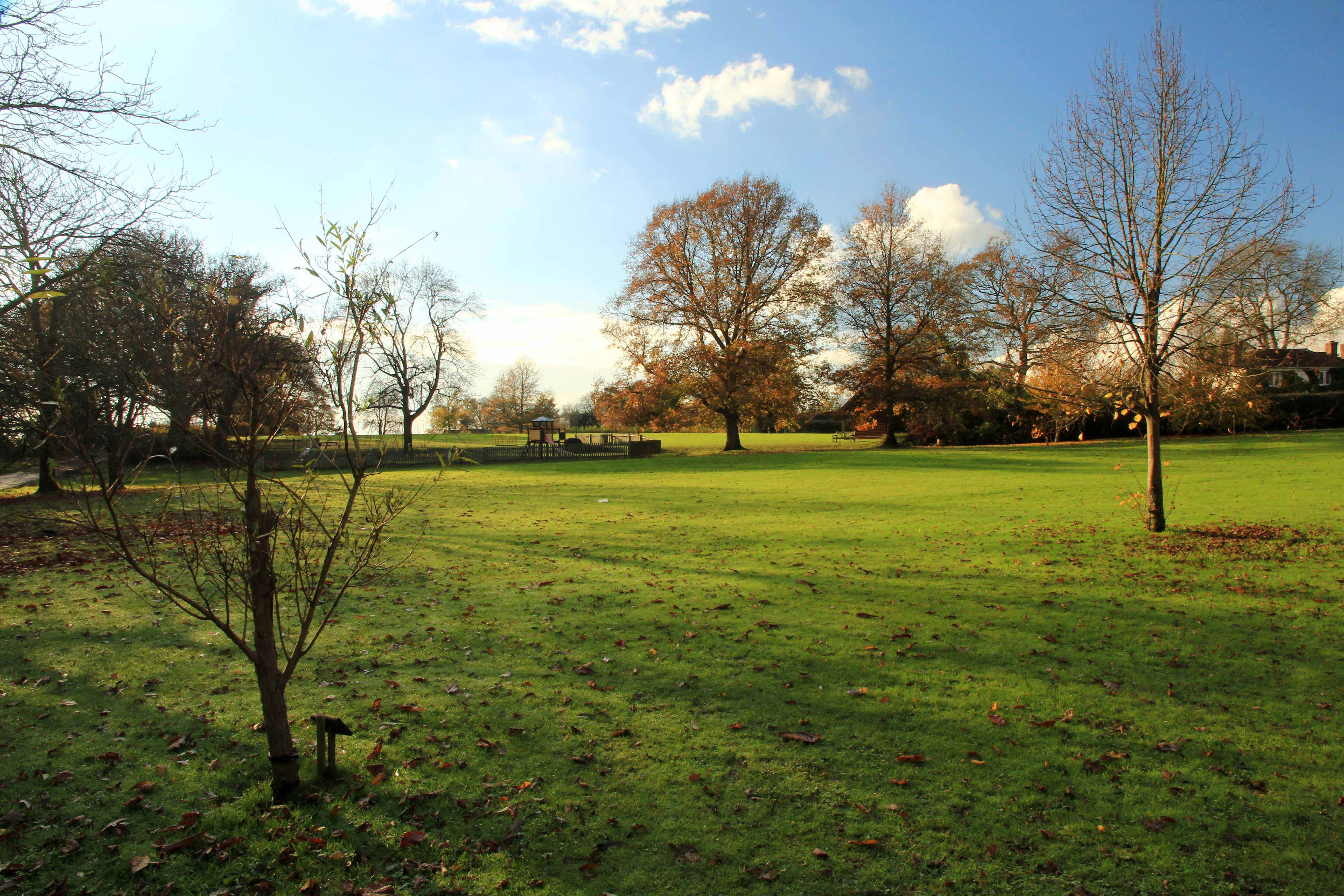 Plaistow Village Upper Green looking towards the Lady Hope Playpark 